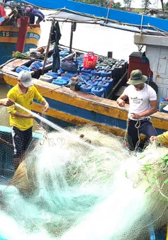 Từ 20/5, khai thác thủy sản không phép sẽ bị phạt 100 triệu đồng