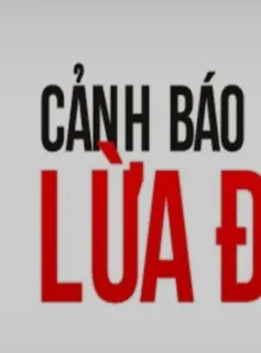 Nhóm đối tượng sử dụng danh nghĩa ''tổ chức Cambridge International'' để lừa đảo