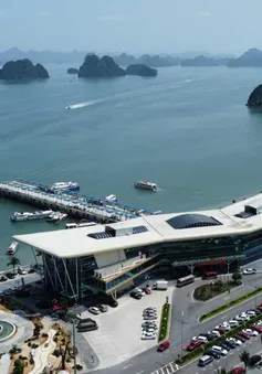 Quảng Ninh không cho du khách mang sản phẩm nhựa dùng một lần ra các xã đảo của Vân Đồn
