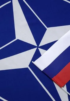 Nga đánh giá quan hệ với NATO ở mức đối đầu trực tiếp