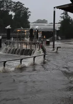 Mưa lớn gây lũ lụt nghiêm trọng tại Sydney, Australia