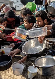 Liên hợp quốc kêu gọi phản ứng toàn cầu giải quyết khủng hoảng Gaza