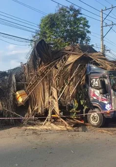 Đang ngủ trong chòi lá, người đàn ông bất ngờ bị xe tập lái tông tử vong