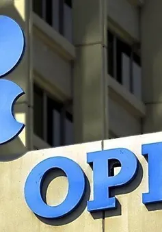 OPEC lạc quan về triển vọng kinh tế thế giới