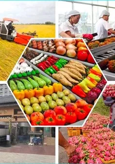 Nâng tầm logistic để hàng hóa Việt mở rộng thị phần tại Trung Quốc