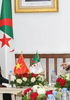 Algeria mong muốn thúc đẩy hợp tác với Việt Nam trên nhiều lĩnh vực