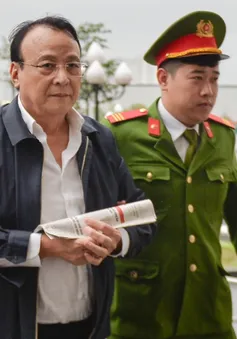 Chủ tịch Tân Hoàng Minh Đỗ Anh Dũng kháng cáo xin giảm nhẹ hình phạt