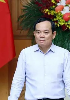 Phó Thủ tướng Trần Lưu Quang là Chủ tịch Hội đồng thẩm định Quy hoạch Lâm nghiệp quốc gia