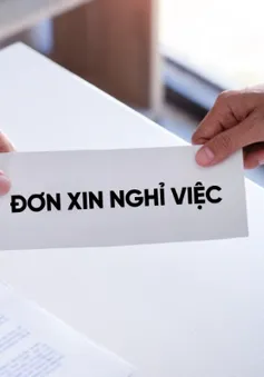 Bị tố sử dụng bằng giả, Chủ tịch xã ở Nghệ An xin nghỉ việc