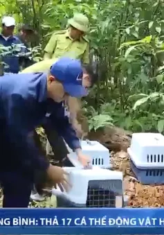 Quảng Bình thả 17 cá thể động vật hoang dã về rừng