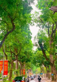 Những góc phố dịu mát giữa ngày hè ở Hà Nội