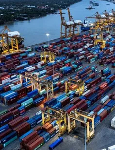 OECD nâng dự báo tăng trưởng toàn cầu năm 2024 lên 3,1%