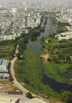 TP Hồ Chí Minh: Sẽ giám sát hàng ngày nếu gói thầu của Tập đoàn Thuận An tiếp tục