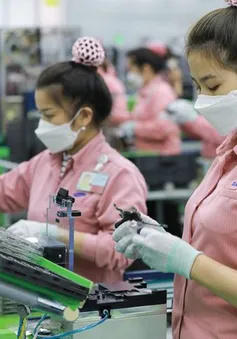 Lao động kỹ thuật làm việc tại Hàn Quốc hưởng lương tối thiểu gần 50 triệu đồng/tháng