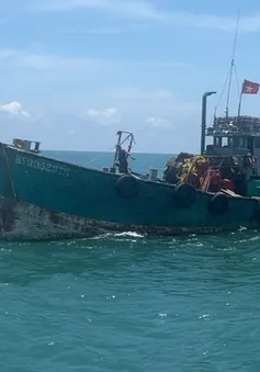 Bà Rịa - Vũng Tàu: Xử lý nhiều vụ tàu cá vi phạm IUU