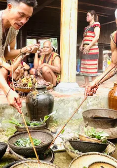 Kon Tum: Đặc sắc lễ hội trỉa lúa của người Brâu