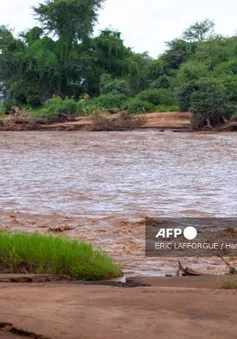 Bão nhiệt đới Hidaya tấn công Kenya và Tanzania, gây mưa lớn và lũ lụt  nghiêm trọng