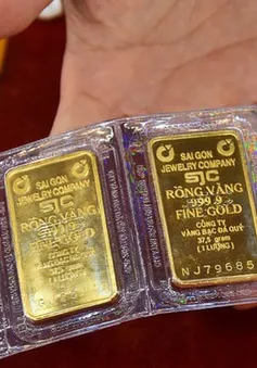 Tổ chức tín dụng, doanh nghiệp tham gia ổn định thị trường vàng, ngoại hối