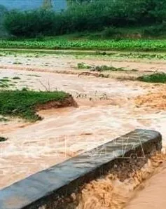 Mưa lớn kèm gió lốc gây nhiều thiệt hại tại Lạng Sơn