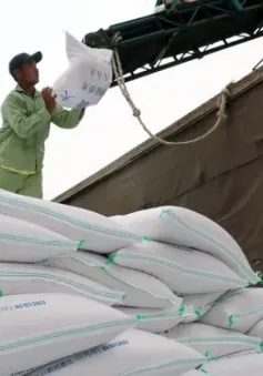 Băn khoăn về đề xuất áp giá sàn xuất khẩu gạo