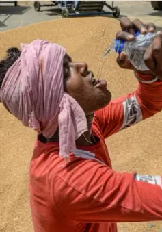 Nắng nóng kỷ lục ở Ấn Độ khiến ít nhất 33 người thiệt mạng