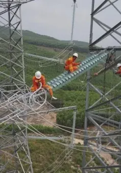 Huy động nguồn lực tăng cường hỗ trợ thi công đường dây 500 kV mạch 3