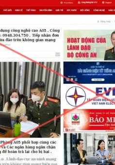 Fanpage "tư vấn pháp luật" mạo danh VTV Online đăng tin giả, có dấu hiệu lừa đảo