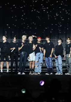 Seventeen và TWICE dẫn đầu doanh thu tour diễn K-Pop nửa đầu năm 2024