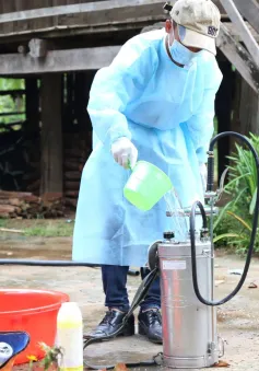 Khánh Hòa: Số ca mắc sốt rét tăng cao dù không phải là chu kỳ của bệnh