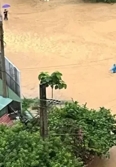 Lũ trên sông Lô cao nhất trong gần 40 năm, Hà Giang sạt lở, ngập lụt diện rộng