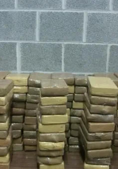 Europol triệt phá đường dây buôn ma túy lớn, thu 8 tấn cocaine