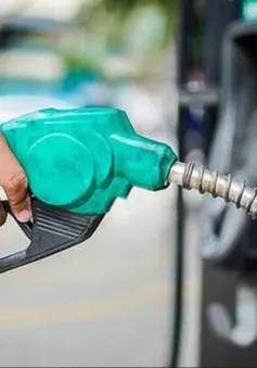 Lợi nhuận thấp, doanh nghiệp không còn mặn mà cung ứng xăng dầu