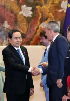 Thúc đẩy phê chuẩn Hiệp định Bảo hộ Đầu tư Việt Nam - EU