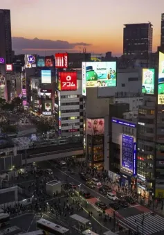 Shibuya cấm uống rượu bia vào buổi tối