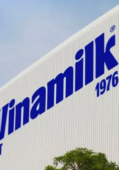 VINAMILK – Đại diện duy nhất từ ngành sữa Việt Nam trong  danh sách FORTUNE 500 Đông Nam Á