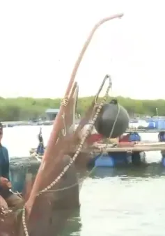 Trải nghiệm cuộc sống sông nước tại Vũng Tàu