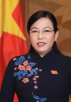 Bà Nguyễn Thanh Hải được bổ nhiệm làm Trưởng Ban Công tác đại biểu