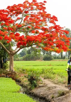 Trải nghiệm ngày hè ở nông thôn