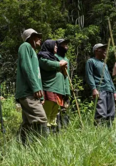 Những “nữ chiến binh” giữ rừng ở Indonesia