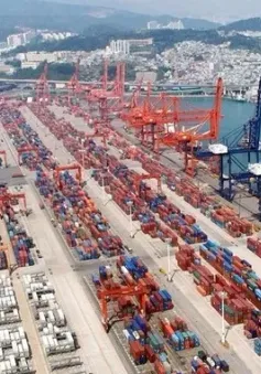 Tắc nghẽn nghiêm trọng tại cảng container lớn thứ hai thế giới