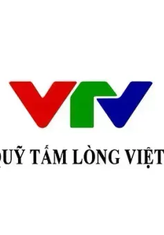 Quỹ Tấm lòng Việt: Danh sách ủng hộ tuần 4 tháng 6/2024