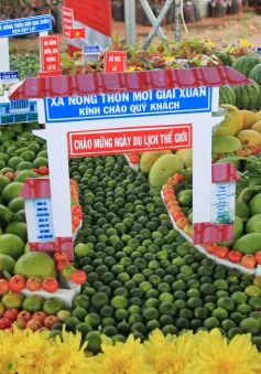 Cần Thơ tổ chức Ngày hội Du lịch sinh thái Phong Điền 2024