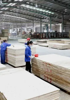 Xuất khẩu gỗ và lâm sản đạt gần 8 tỷ USD trong nửa đầu năm 2024