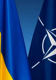 NATO giúp Ukraine chuẩn bị gia nhập liên minh