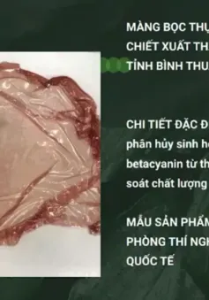 Tìm hiểu về sáng kiến màng bọc thực phẩm xuất thân từ thực phẩm