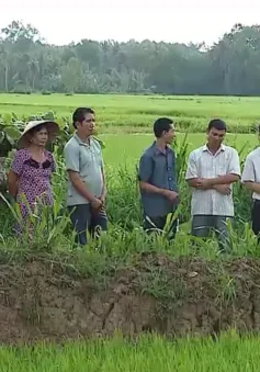 Phát triển nguồn nhân lực vùng đồng bào dân tộc thiểu số