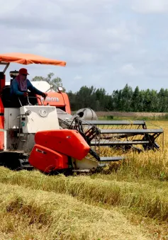 Hợp tác quốc tế, đa ngành về kinh tế tuần hoàn trong nông nghiệp