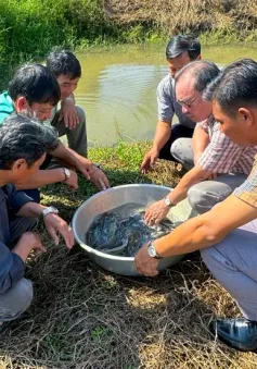 Cà Mau nâng cao ý thức bảo vệ nguồn lợi cá đồng