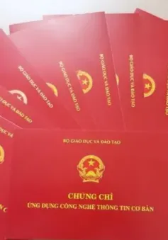 Xét xử cặp đôi lừa tiền của hàng trăm học viên thi chứng chỉ ngoại ngữ, tin học