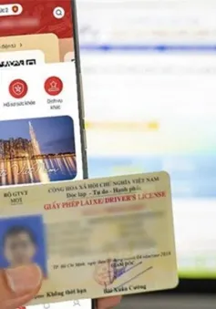 Hướng dẫn 3 phương án xin cấp đổi giấy phép lái xe tại Hà Nội